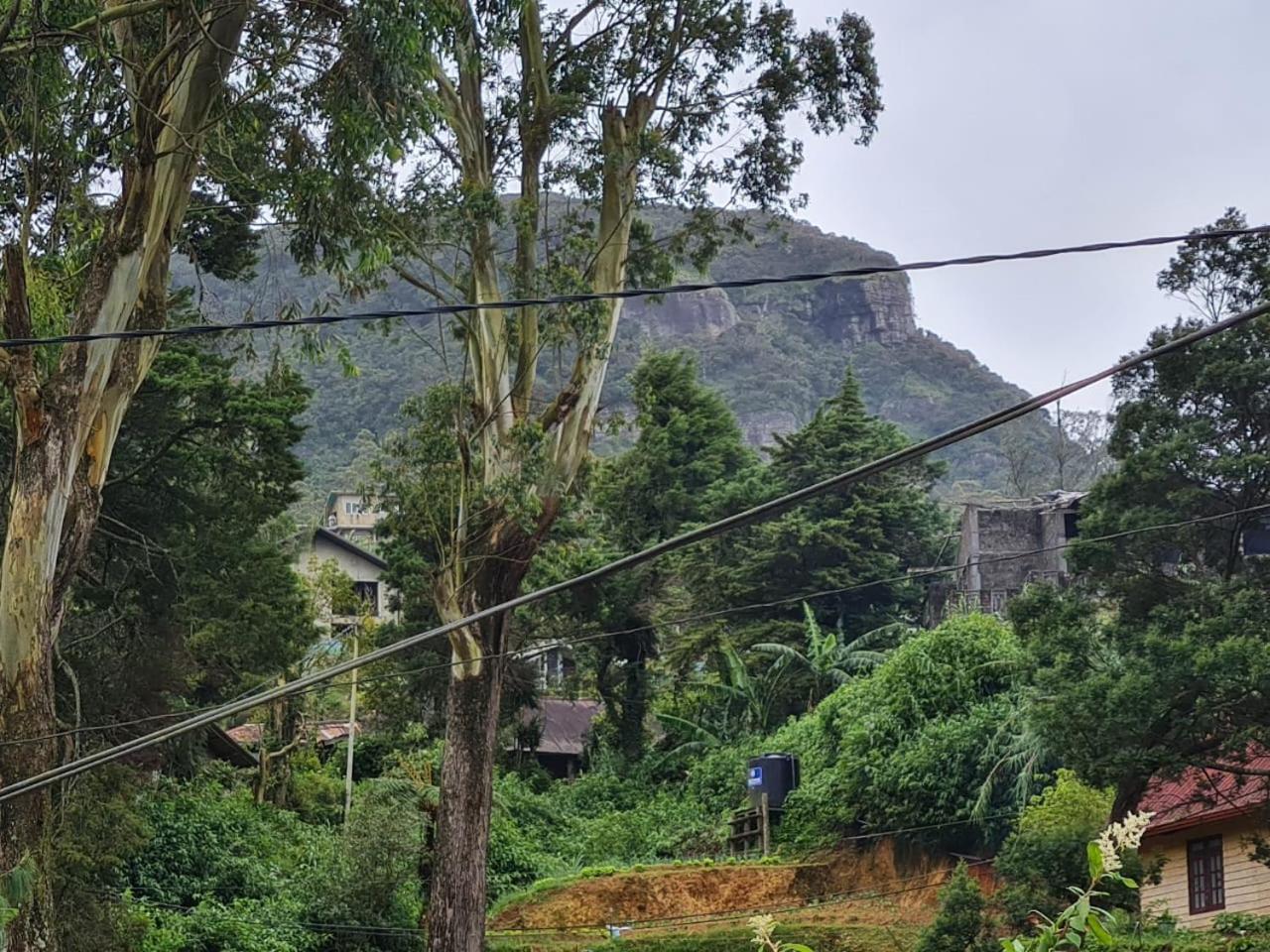 Sasru Holiday Home Nuwara Eliya Dış mekan fotoğraf