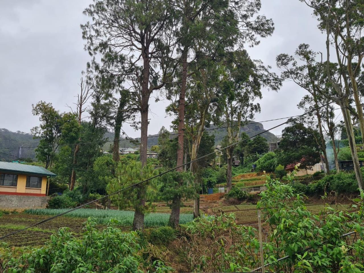 Sasru Holiday Home Nuwara Eliya Dış mekan fotoğraf